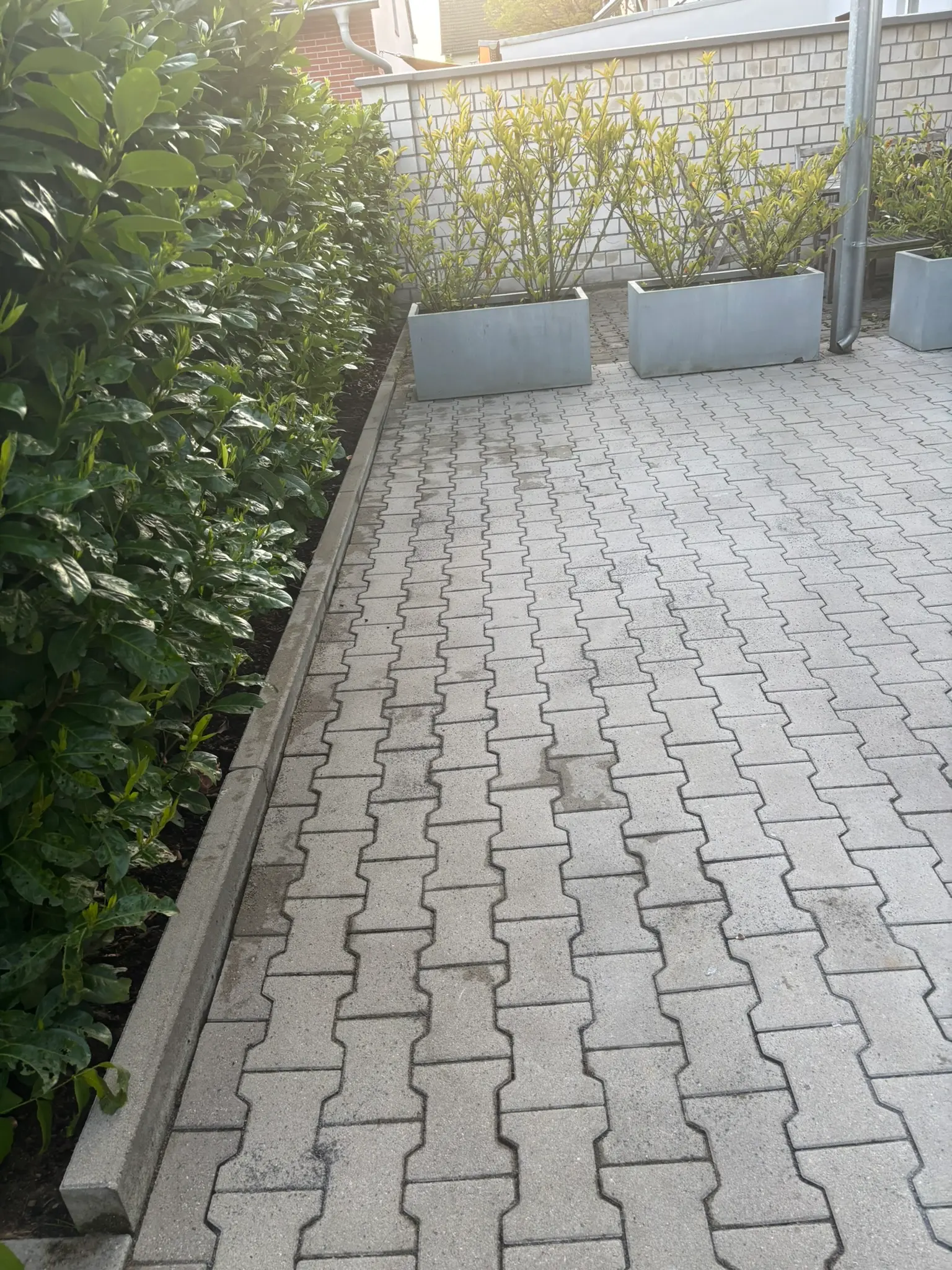 Pflasterreinigung